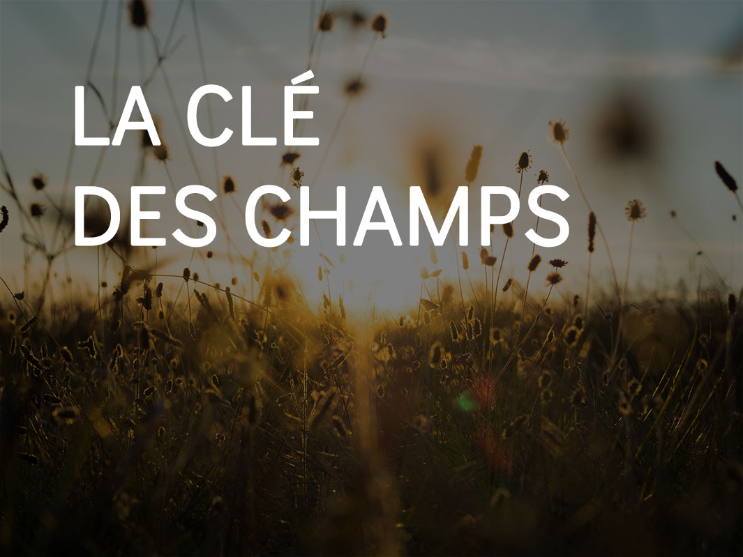 vignette_hover_la_cle_des_champs-8231102-4