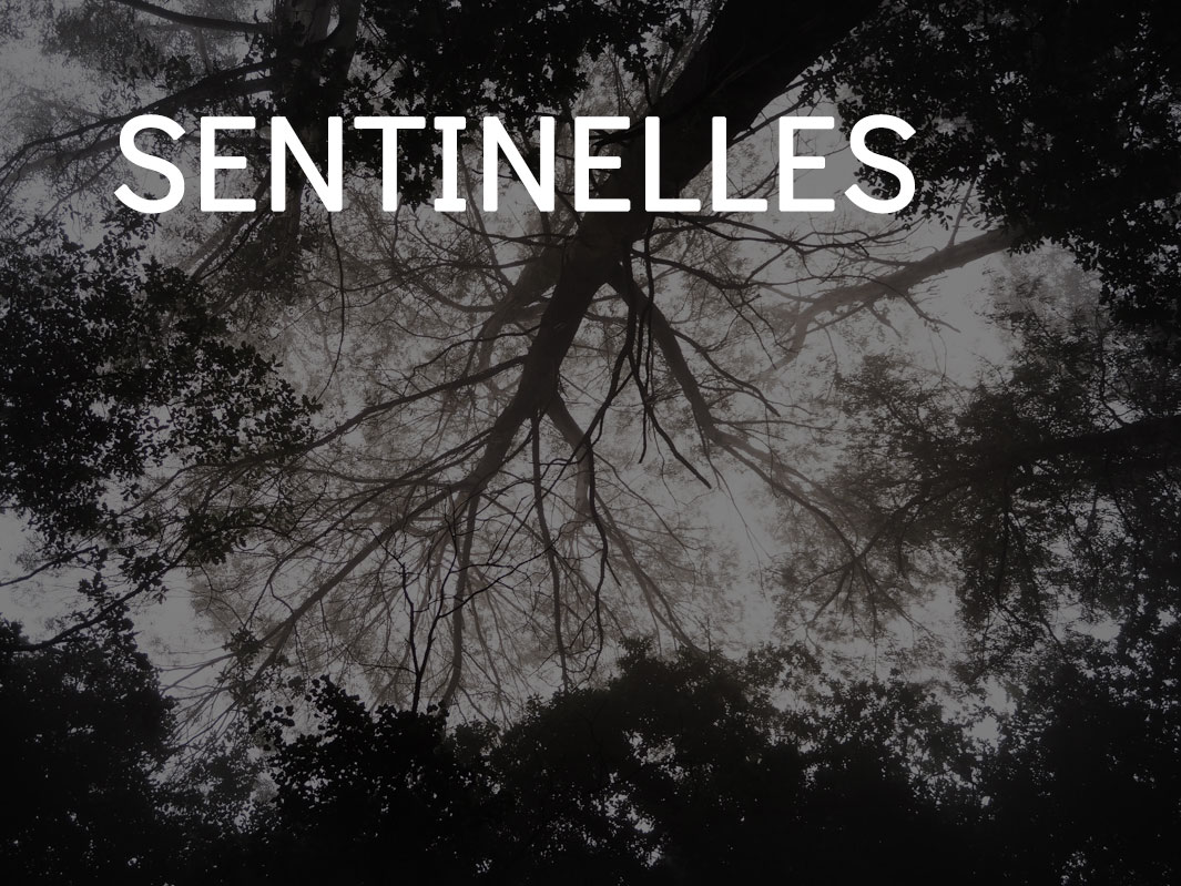 vignette_hover_sentinelles-6252207