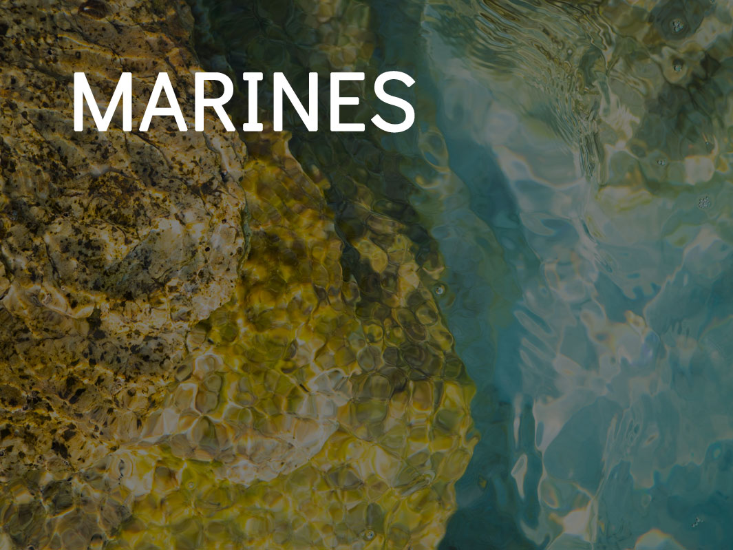 vignettes_hover_marines-1040331